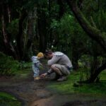 Positive Parenting Tips for Toddlers A Guide to Gentle Discipline